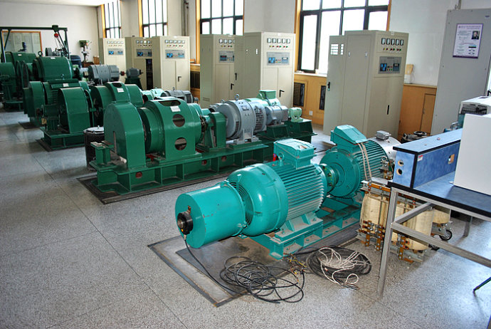 德宏某热电厂使用我厂的YKK高压电机提供动力